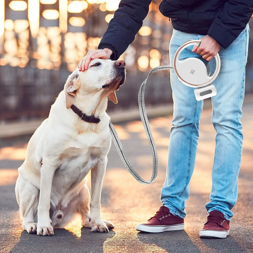 Retractable LED Dog Leash