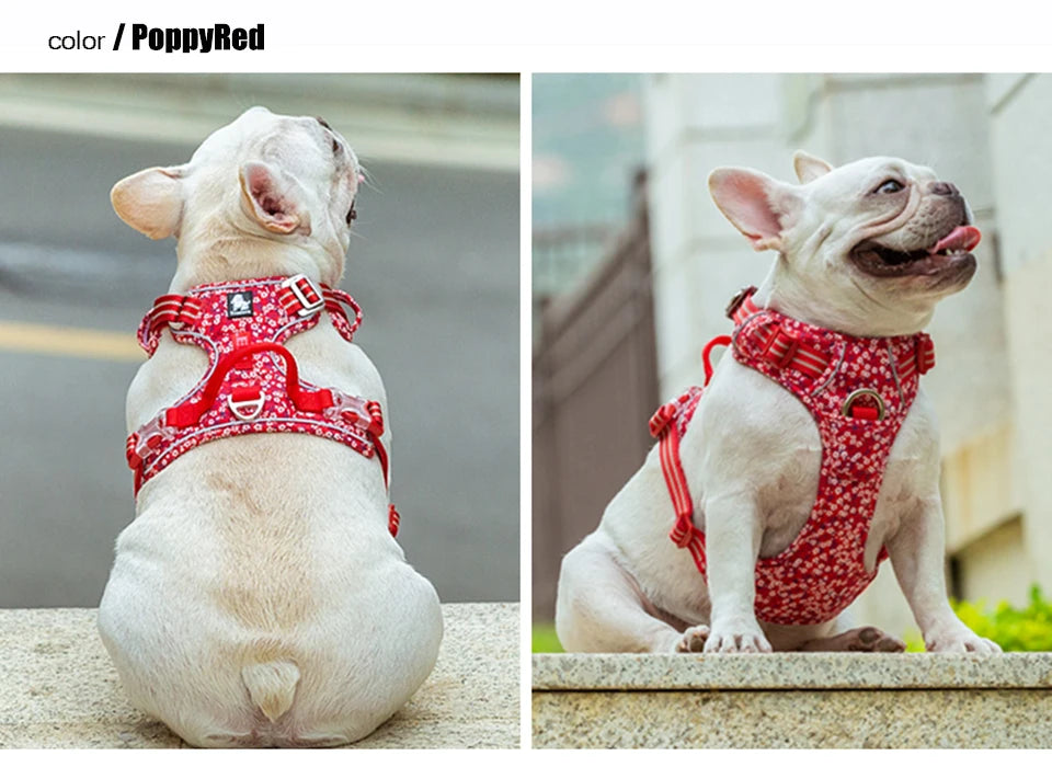 Truelove Pet Dog Harness