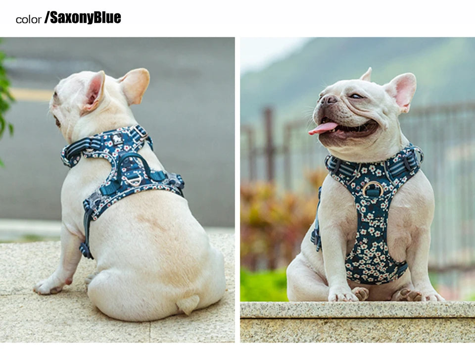 Truelove Pet Dog Harness