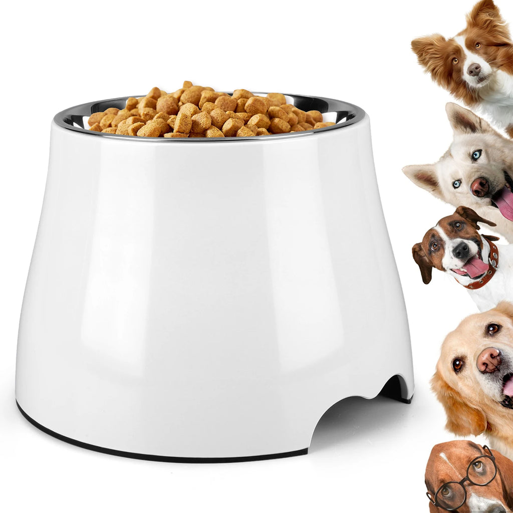 Stainless Steel Dog Food and Water Bowl