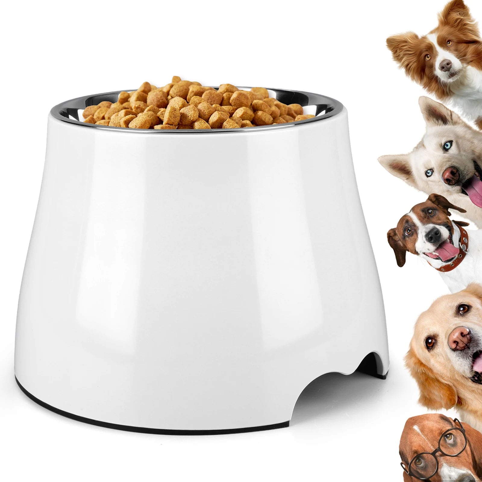 Stainless Steel Dog Food and Water Bowl