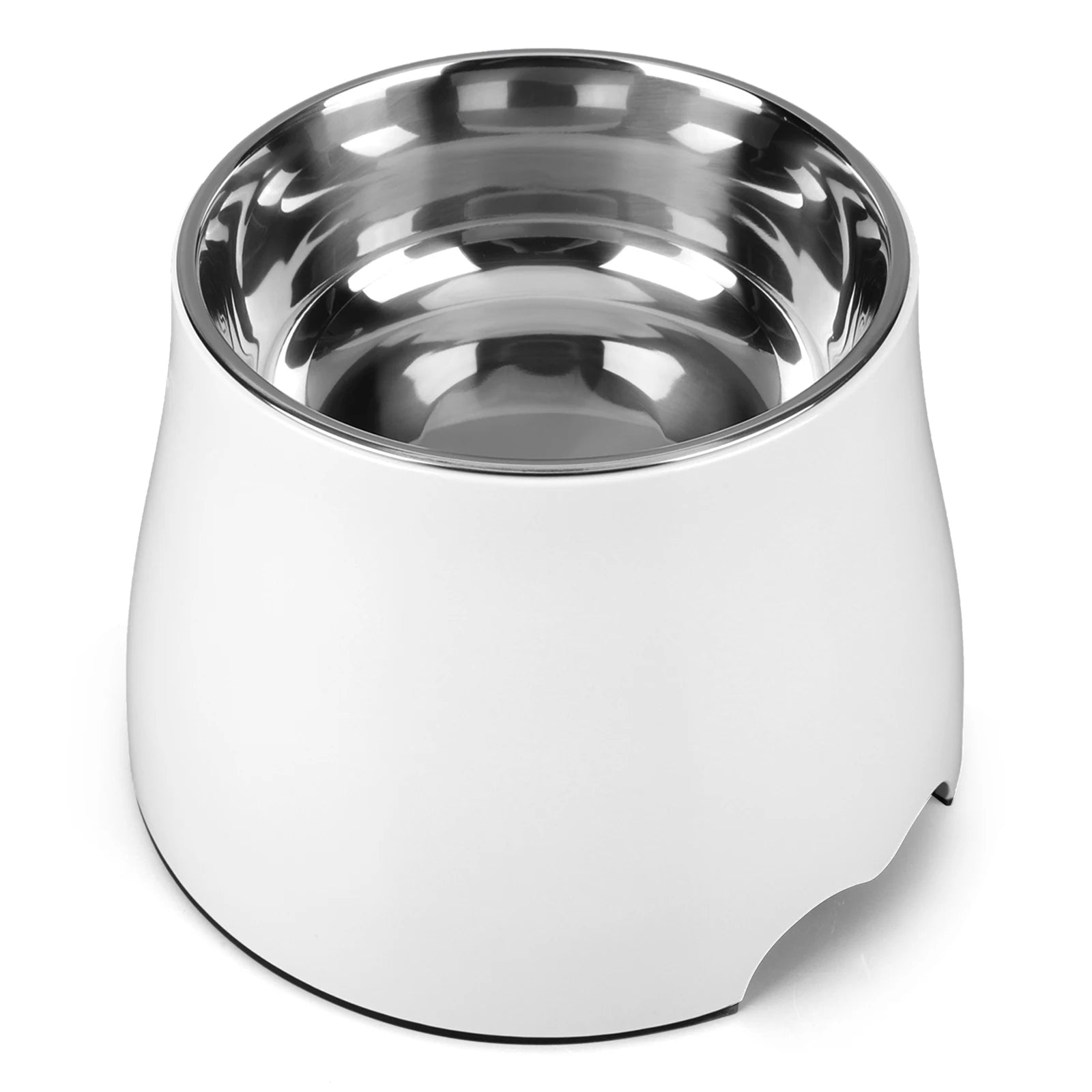 Stainless Steel Dog Food and Water Bowl