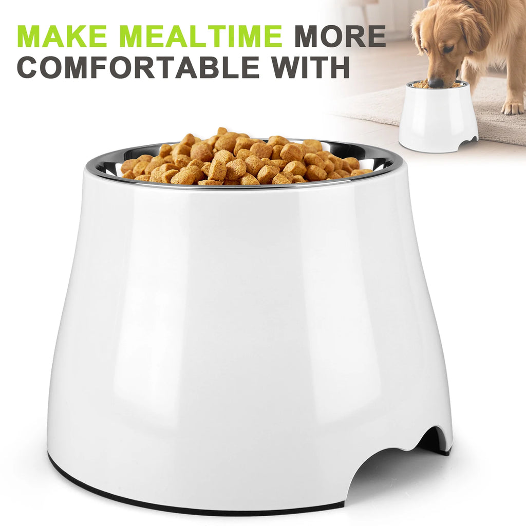 Stainless Steel Dog Food and Water Bowl