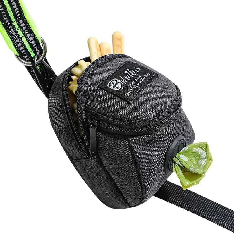 Multifunctional Portable Pet Treat Pouch