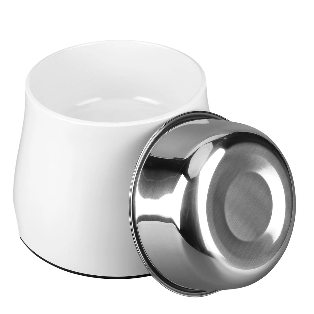 Stainless Steel Dog Food and Water Bowl
