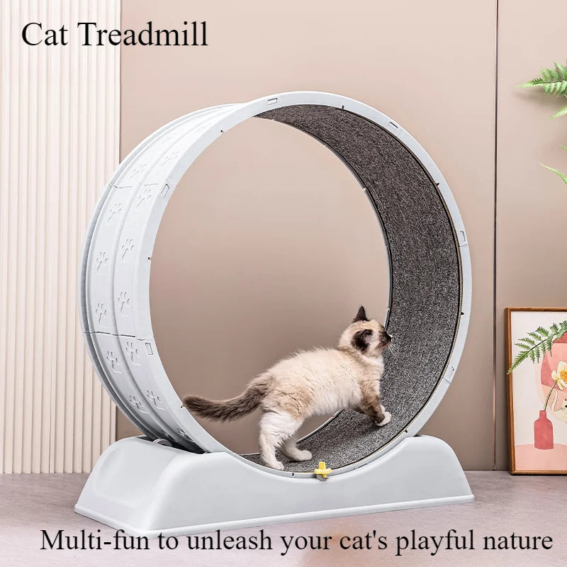 Cat Quiet Low Noise Exercise Wheel