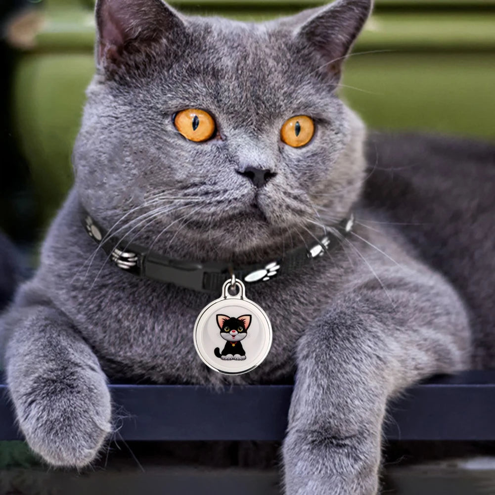 Real-time Tracking Dog Cat Collar