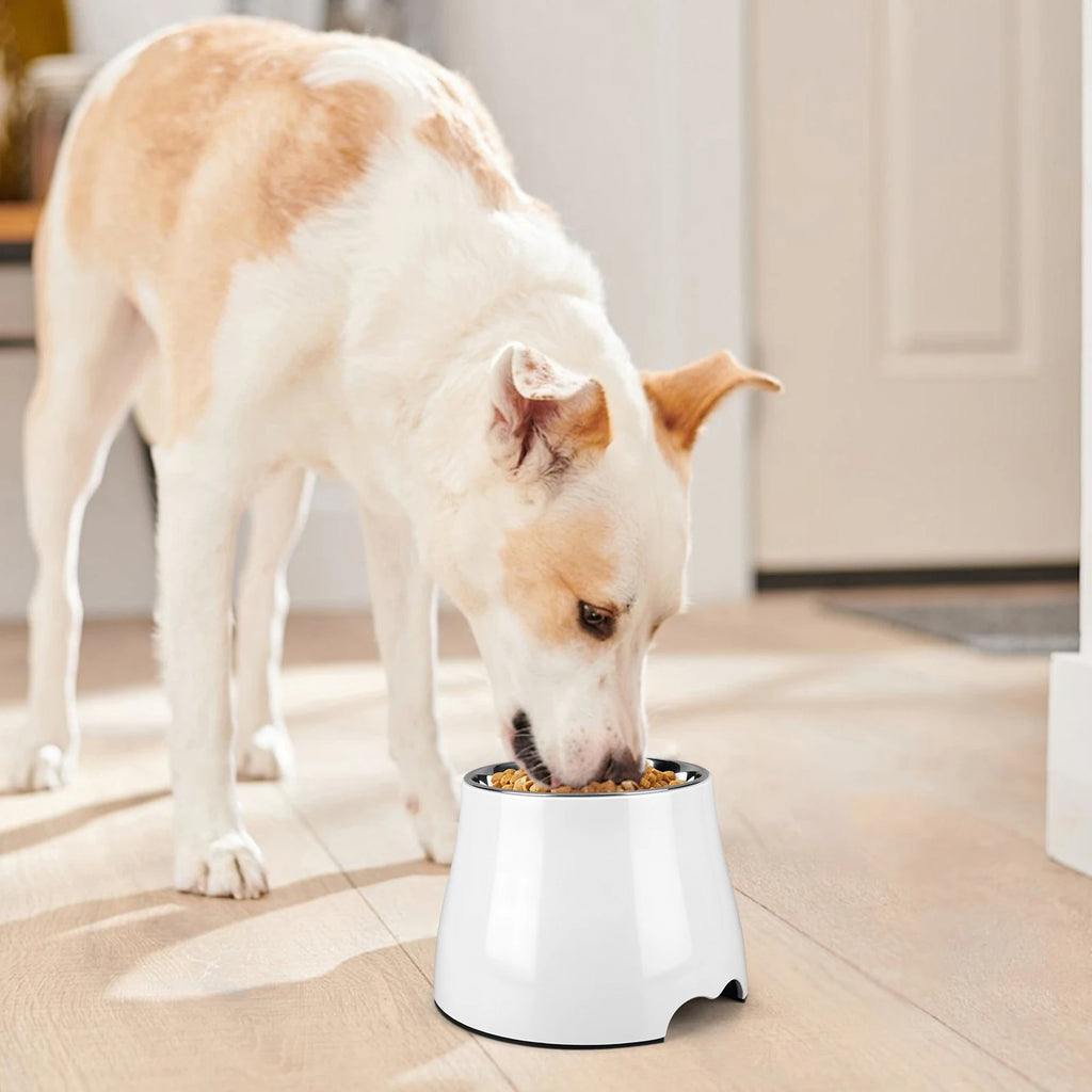Stainless Steel Dog Food and Water Bowl