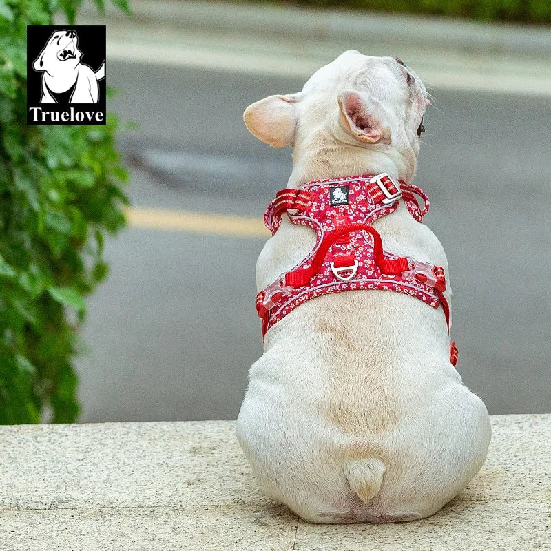 Truelove Pet Dog Harness