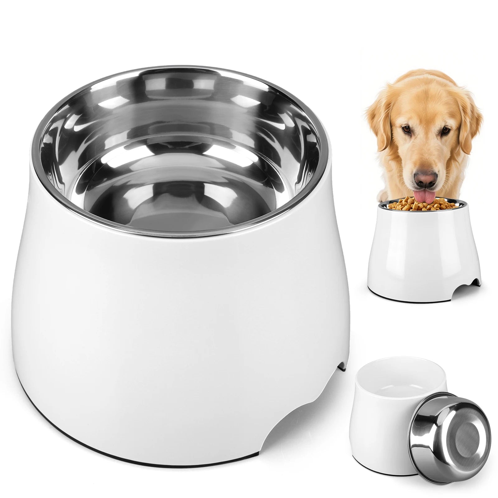 Stainless Steel Dog Food and Water Bowl