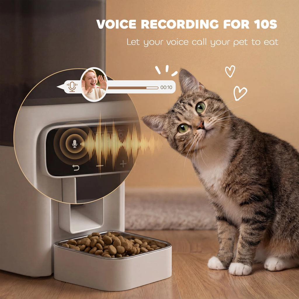 Programmable Automatic Cat Feeder