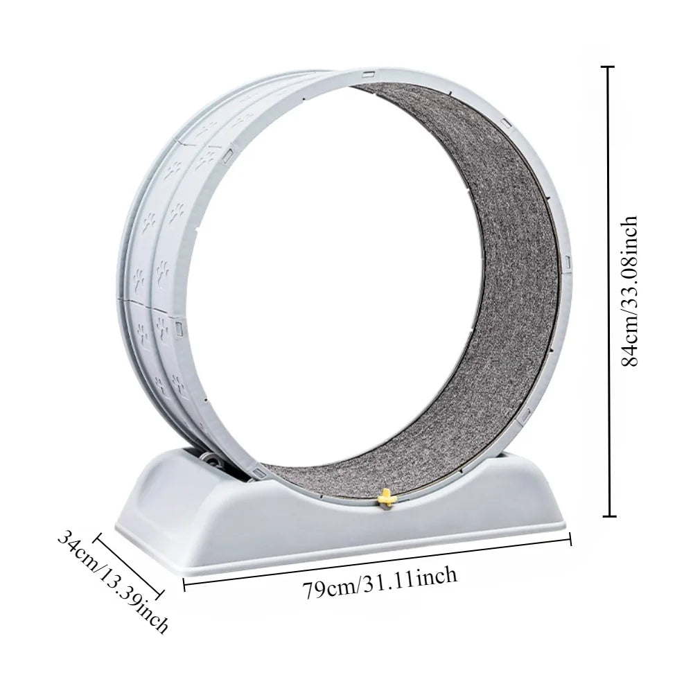 Cat Quiet Low Noise Exercise Wheel