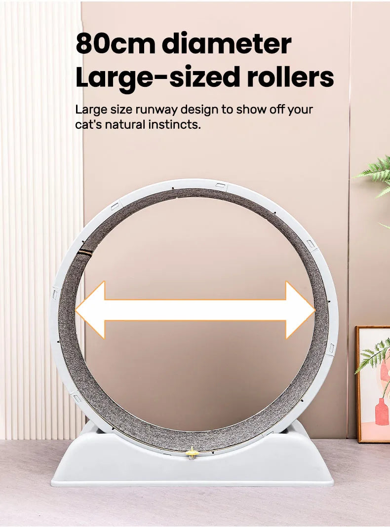 Cat Quiet Low Noise Exercise Wheel