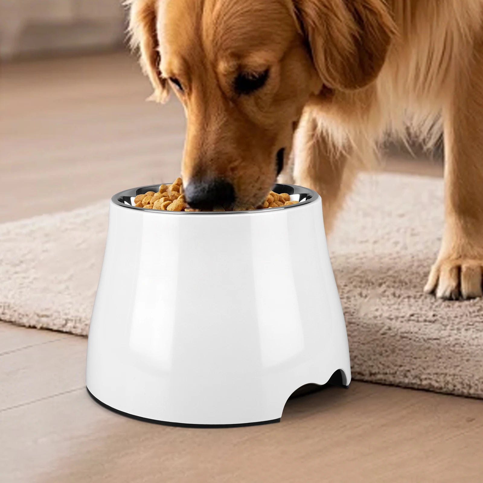 Stainless Steel Dog Food and Water Bowl