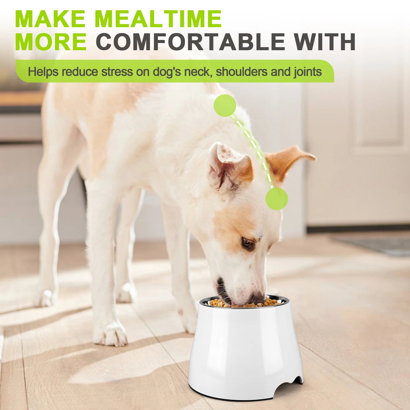 Stainless Steel Dog Food and Water Bowl