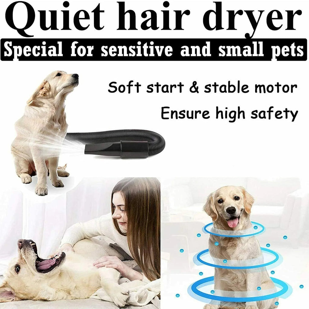 2800W Dog Blow Dryer