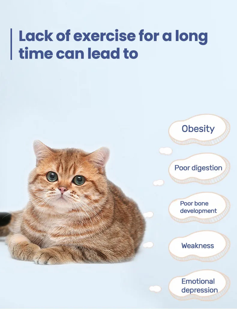 Cat Quiet Low Noise Exercise Wheel