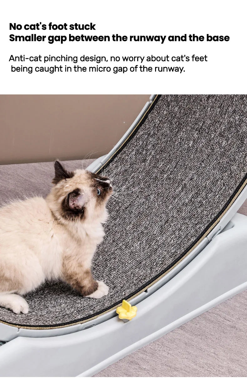 Cat Quiet Low Noise Exercise Wheel