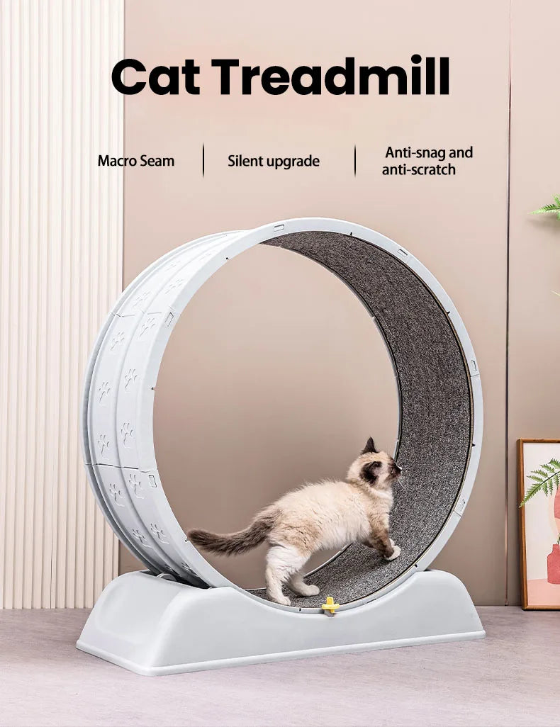 Cat Quiet Low Noise Exercise Wheel
