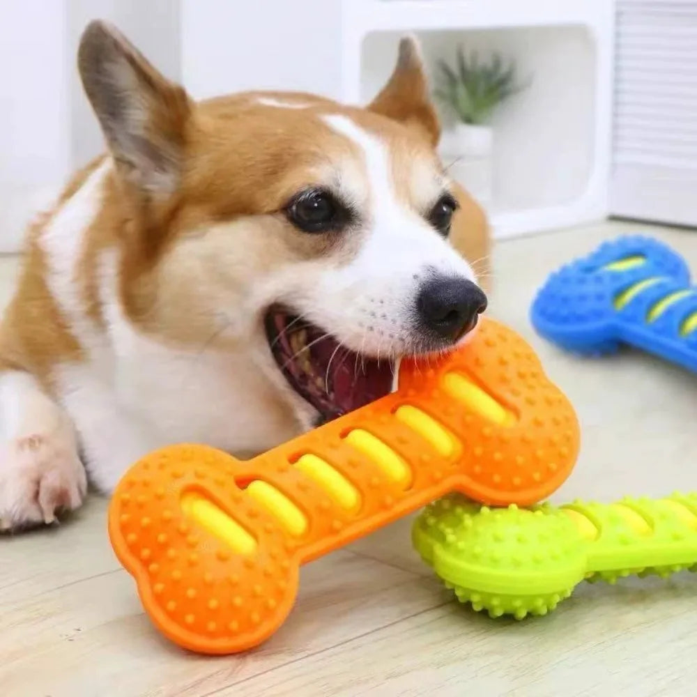 Tough Puppy Chew Toys