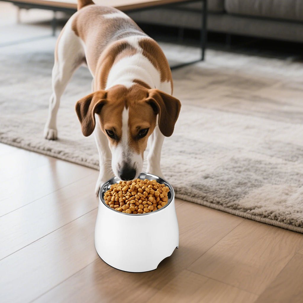 Stainless Steel Dog Food and Water Bowl
