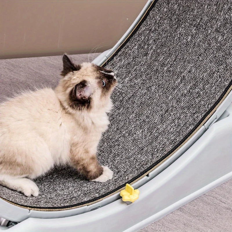 Cat Quiet Low Noise Exercise Wheel