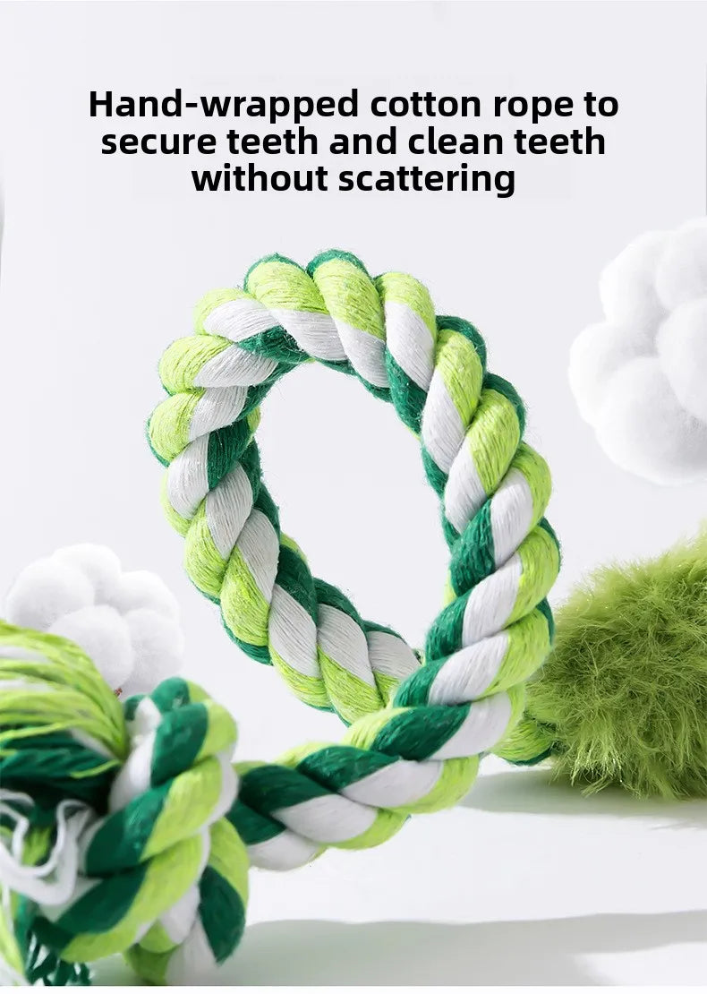 Plush Squeaky Dog Toy