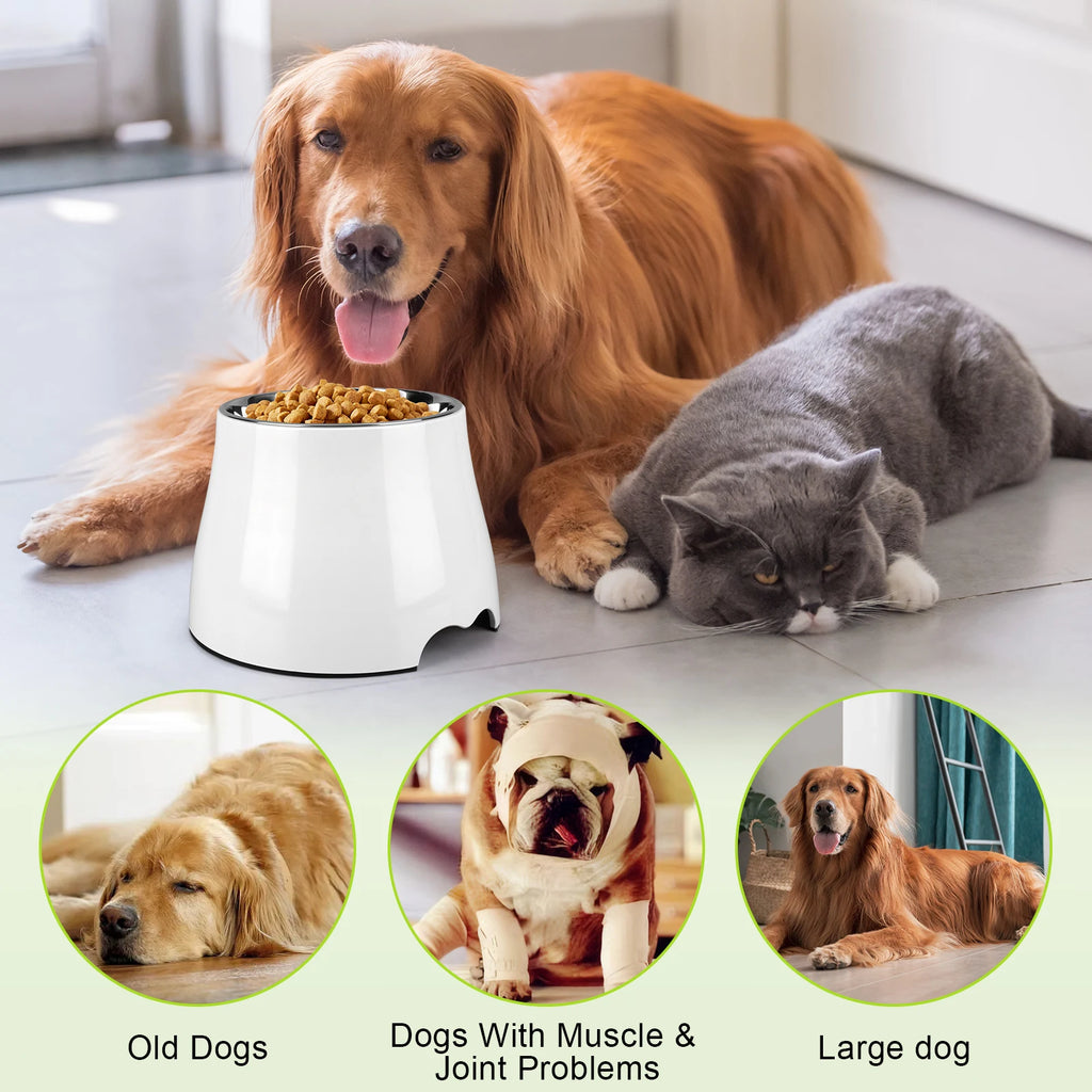 Stainless Steel Dog Food and Water Bowl