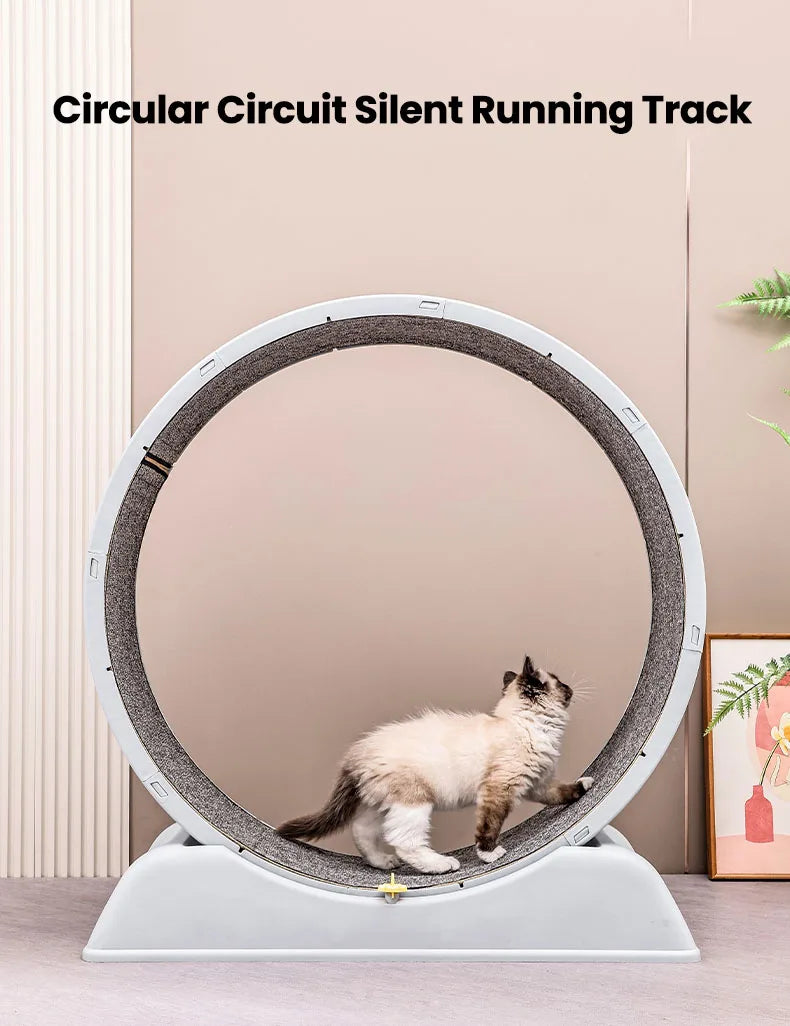 Cat Quiet Low Noise Exercise Wheel
