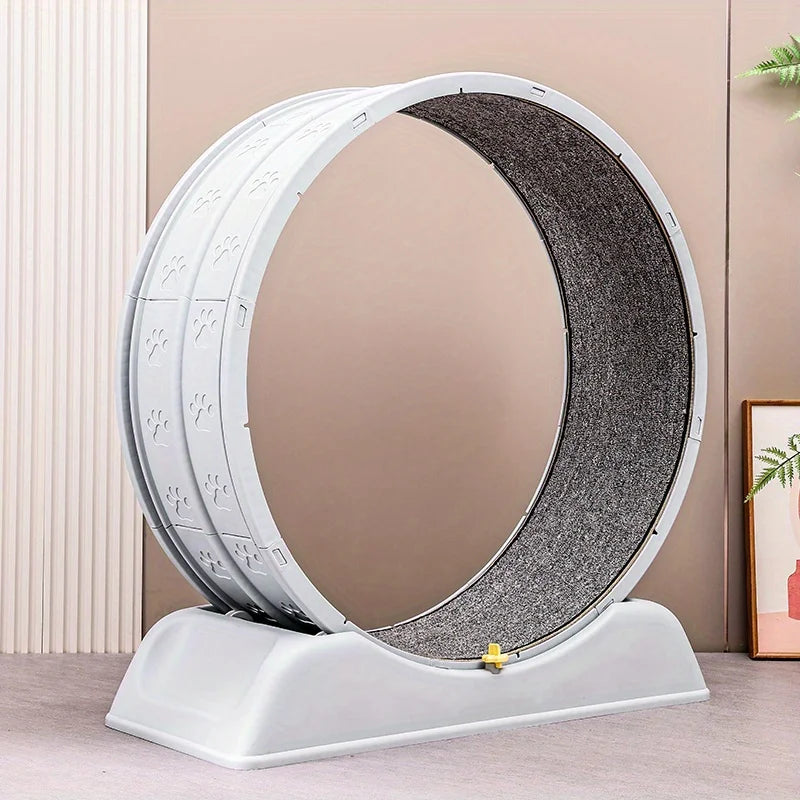 Cat Quiet Low Noise Exercise Wheel